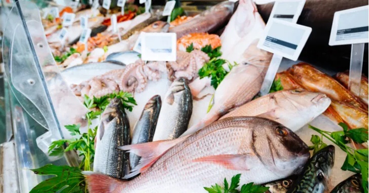 お刺身を販売する方法2：刺身用の魚として魚市場や魚を買取してくれるお店へ売る