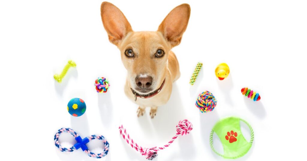 [V78_MS_816]【2026年最新】メルカリShopsでペット用品を売る方法！必要な資格・届出から売上を伸ばす戦略まで徹底解説